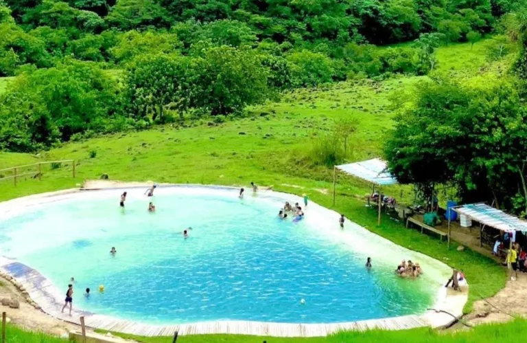 Vega Caribeña