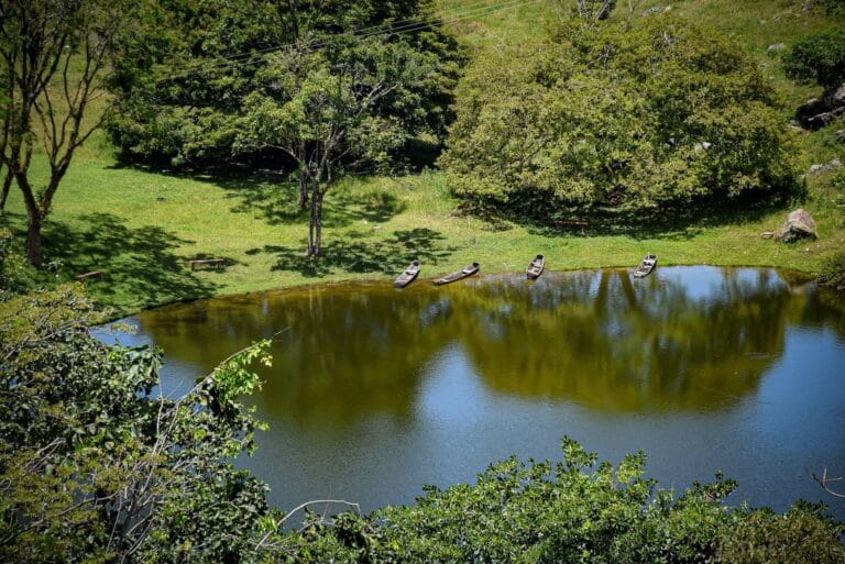 Laguna El Juncal