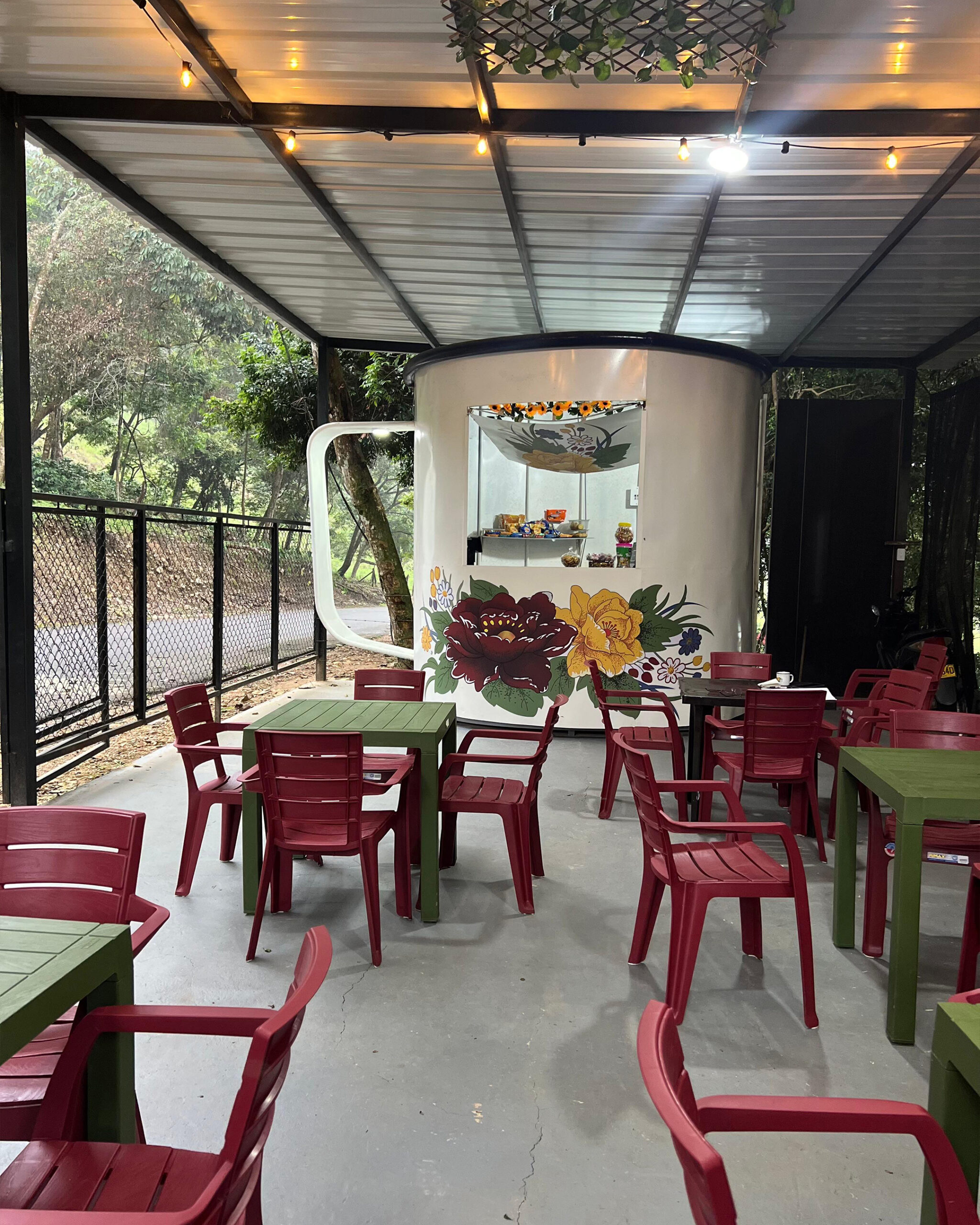 Bosque-cabaña-cafe-tauramena-turistica-2