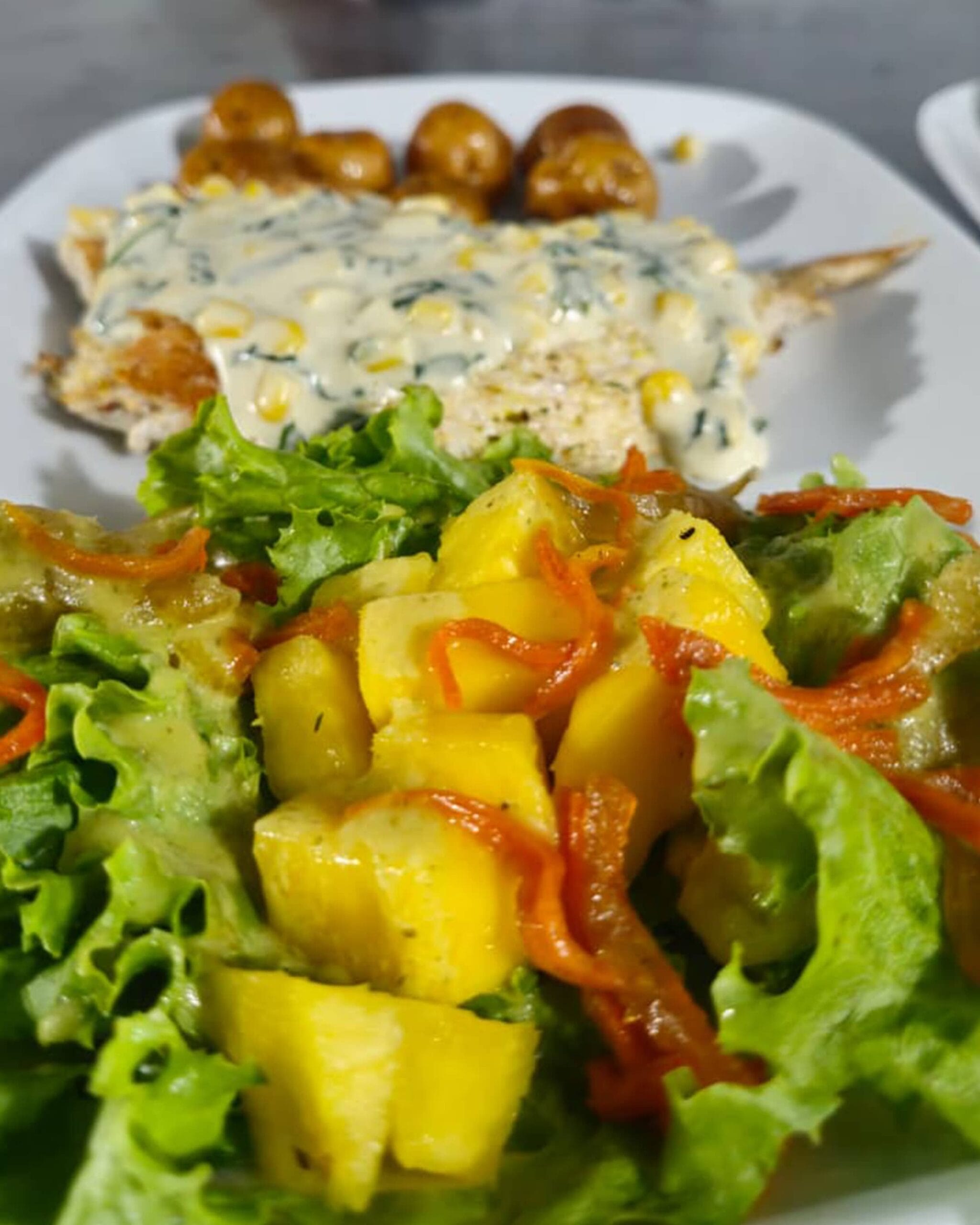 alcielo-tauramena-turistica-gallery-6