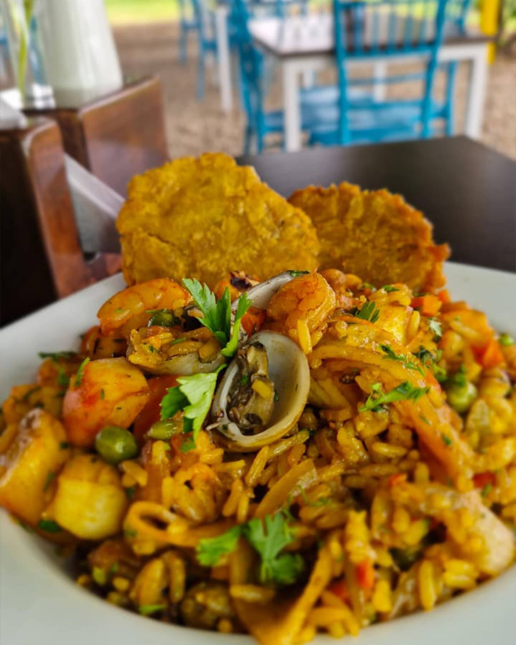 alcielo-tauramena-turistica-gallery-7