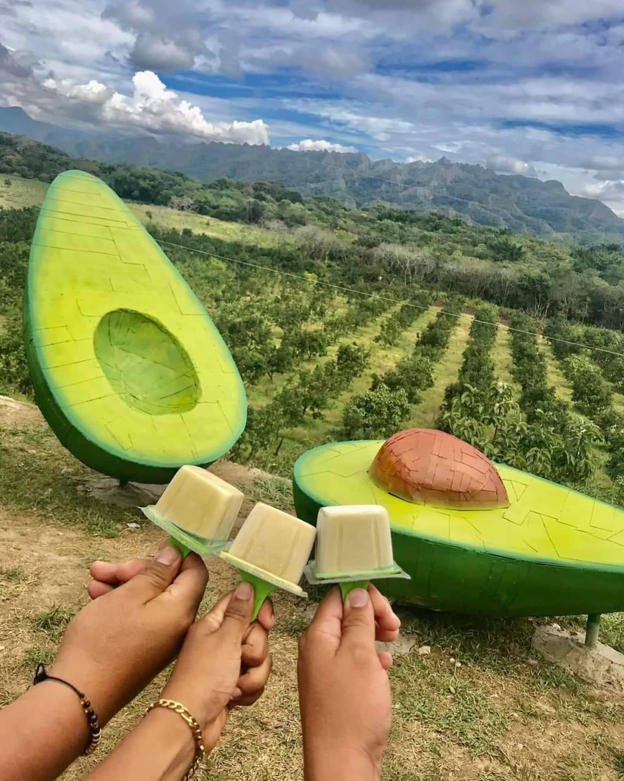 aguacate-tauramena-turistica-gallery-3