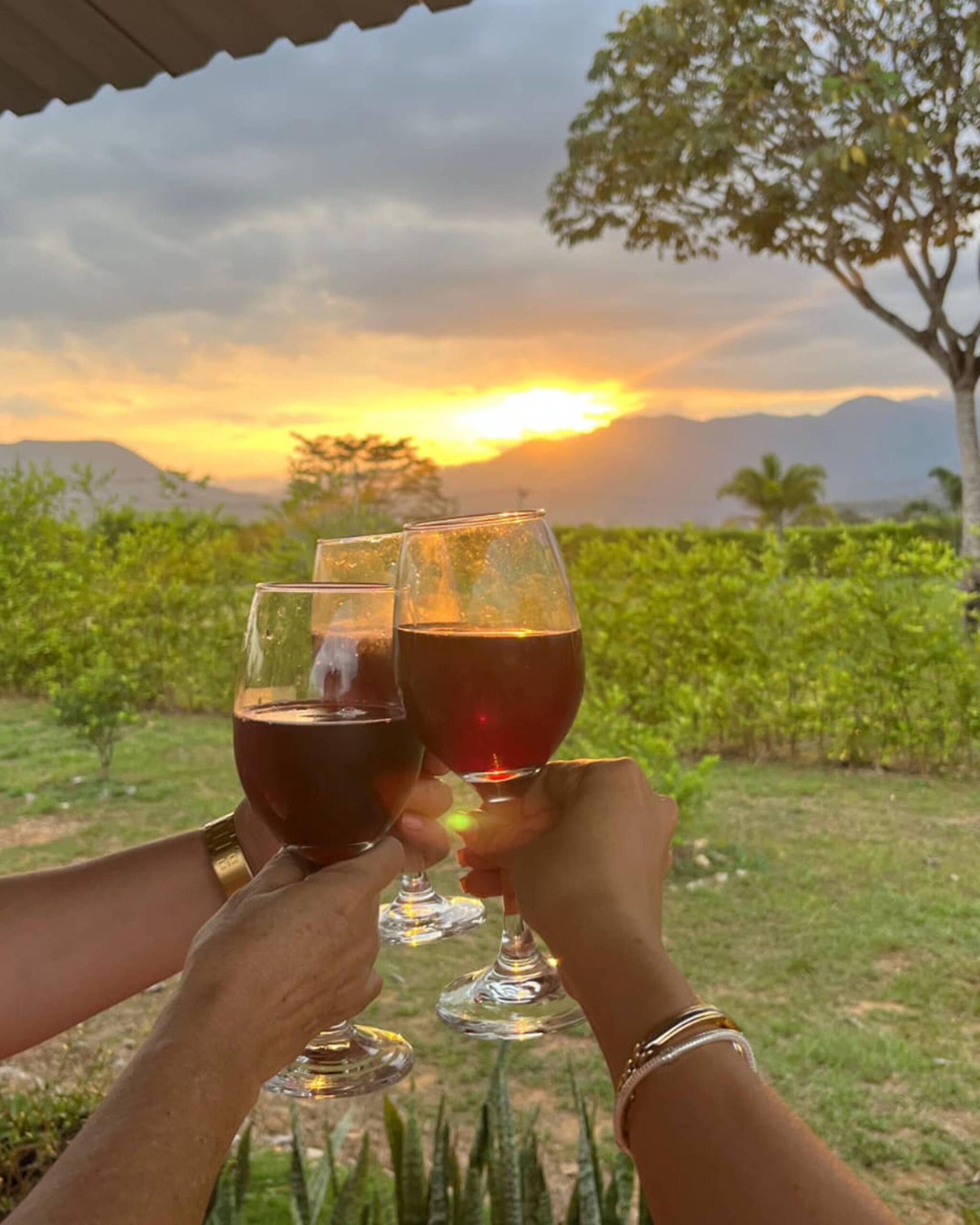 cabanas-san-francisco-tauramena-gallery-3